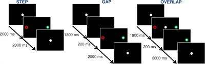 Saccadic Eye Movements in Elderly Depressed Patients With Suicidal Behaviors: An Exploratory Eye-Tracking Study